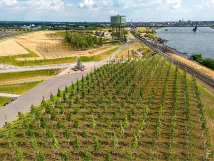 The Rheinpark in Duisburg-Hochfeld, on the Rhine, over 150 years a site for heavy industry, now a