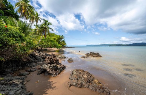 Tropical beach, South Pacific, Osa Peninsula, Punterenas Province, Costa Rica, Central America