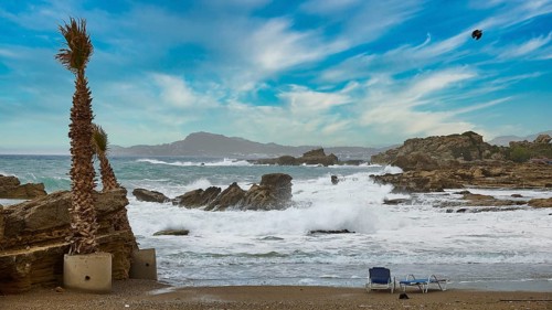 Sky replaced, Beach landscape with waves, rocks, a palm tree and a vast sky with clouds, Oasis