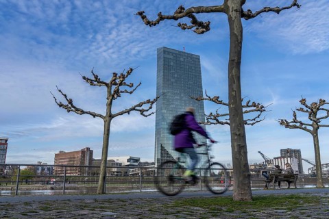 Building of the European Central Bank, ECB, cycle path on the Main in Frankfurt, Hesse, Germany,