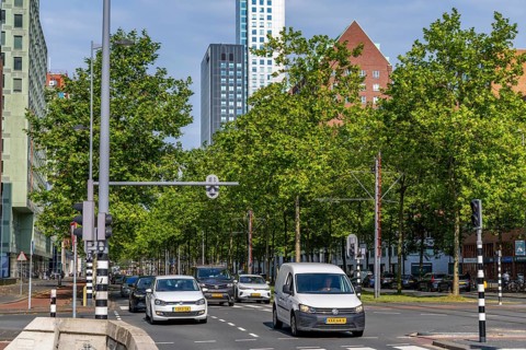 Urban greening, inner-city street Laan op Zuid, in Rotterdam's Feijenoord district, 4 lanes, 2 tram