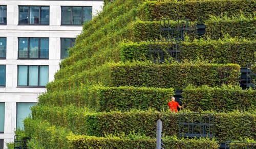 Green façade, made of over 30, 000 hornbeams forming a hedge a good 8 kilometres long, on the roof