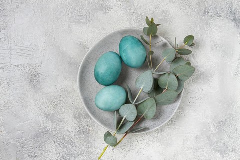 Easter colored eggs, in turquoise tones, on a gray plate, with a branch of eucalyptus, Easter card,