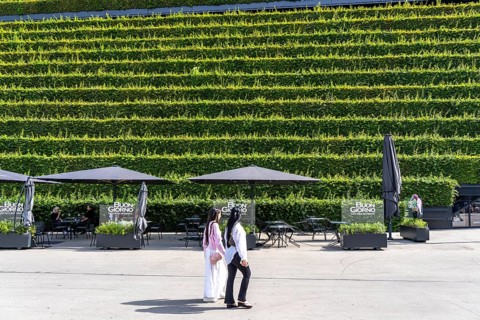 Green façade, consisting of over 30, 000 hornbeams, which form a hedge a good 8 kilometres long, on