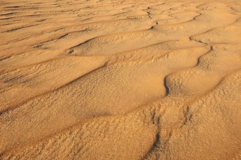 A close-up of undulating sand dunes in a desert, Matruh, Great Sand Sea, Libyan Desert, Sahara,