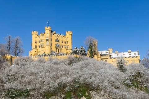 Yellow castle on a hill covered with snow, surrounded by trees under a blue sky, Hohenschwangau