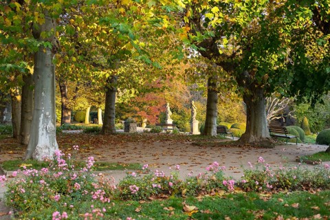 Plane trees and sandstone figures in the castle park at the baroque castle Diesbar-Seußlitz in