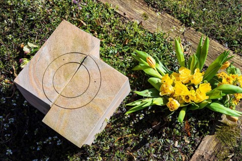 Gravestone, next to it a bouquet of yellow roses, daffodils and tulips, Alleestraße cemetery,