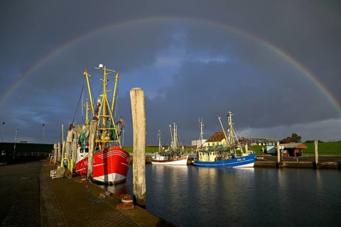 Fishing boats in the harbour of Tammensiel, rainbow, Pellworm Island, Schleswig-Holstein Wadden Sea