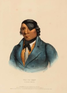 Waa-Pa-Shaw. A Sioux Chief (1838), Indians, Historical Indian Tribes from North America, Charles