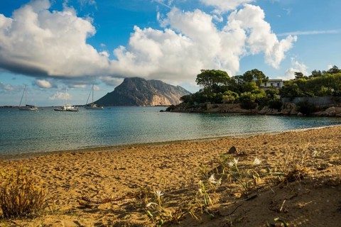 Picturesque beach and island, sunrise, Cala Girgolu, Isola di Tavolara, Porto San Paolo, Sardinia,