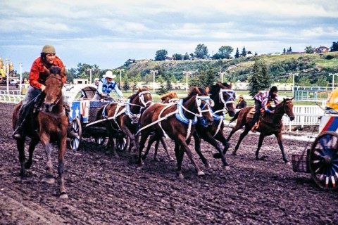 Calgary Exhibition and Stampede, Canada in the late 1970s or early 1980s Chuckwagon Race