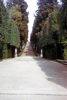 Viale dei Cipressi, Cypress Avenue, Viottolone Boulevard, Boboli Gardens, Florence, Tuscany, Italy