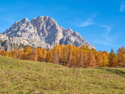 Autumn at Passo Tre Croci, autumnal larches, mountains in the background, Misurina, Dolomites,