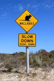 Beware of wallabies sign, Dirk Hartog Island National Park, named after the Dutch navigator of the