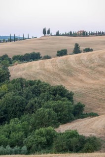 Typical Tuscan landscape in Val d'Orcia with hills, trees, fields, cypresses in autumn, Tuscany,