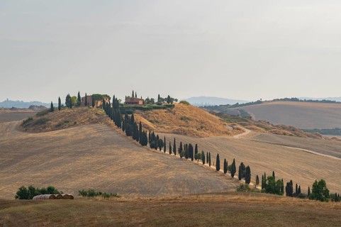 Typical Tuscan landscape in Crete Senesi with hills, trees, fields, cypresses and farm road in