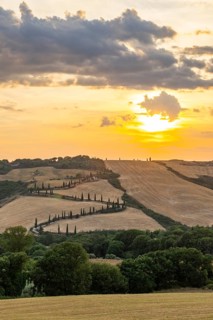 Typical Tuscan landscape in Val d'Orcia with hills, trees, fields, cypresses and farm road in