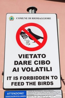 Posted bilingual Italian and English It is Forbidden to Feed The Birds pictogram sign, Riomaggiore,