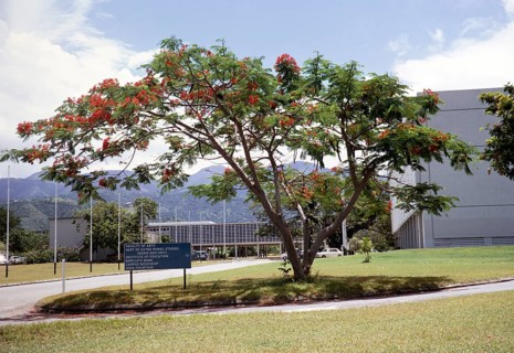 University of the West Indies, Kingston, Jamaica, West Indies 1970, Central America