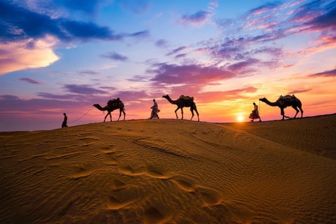 Indian cameleers camel drivers bedouin with camel silhouettes in sand dunes of Thar desert on