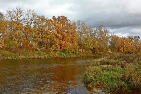 Autumn foliage colouring on the banks of the Mulde river near Dessau, Autumn atmosphere in the