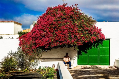 2016, Teguise, Lanzarote, Teguise, ESP, Spain, Canary Islands, Canary Islands, Atlantic Ocean,