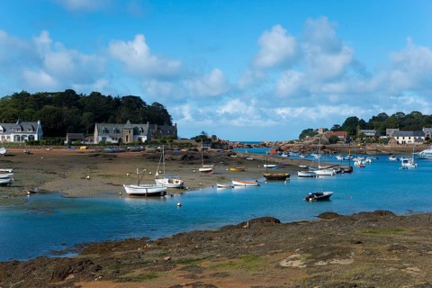 Small boats in the harbour at low tide with houses along the shore and blue sky with a few clouds,