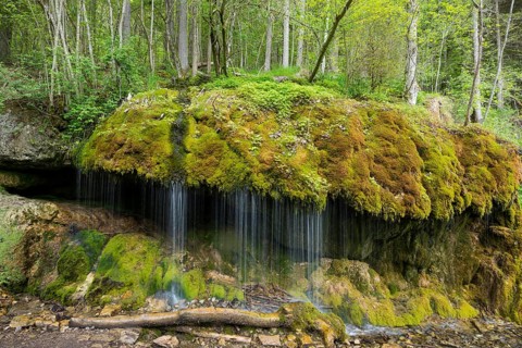 Moss-covered rocks and waterfall, Wutach Gorge, Bonndorf, Baden-Württemberg, Black Forest, Germany,