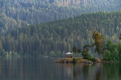 Schluchsee reservoir, Black Forest, Baden-Württemberg, Germany, Europe