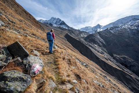 Mountaineer on a hiking trail in Niedertal, snow-covered mountain peaks of the Ötztal Alps with