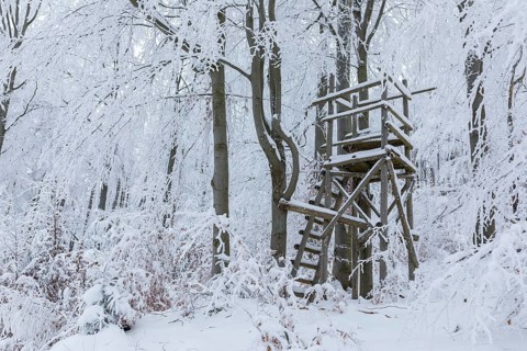 High seat in the winter forest, the trees are thickly decorated with snow and hoarfrost on the