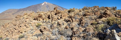 Panorama over the Teide National Park, Parque Nacional del Teide, to Pico del Teide, 3715m,
