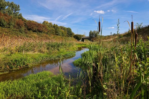 Bottrop-Gladbeck, North Rhine-Westphalia, Germany, Renaturalised Boye, the tributary of the