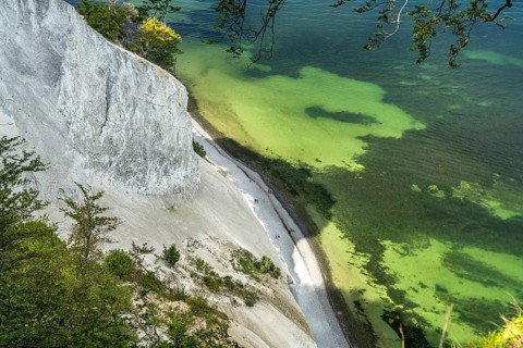 Cliffs and chalk cliffs Møns Klint, Mön Island, Denmark, Europe