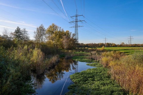 Bottrop, North Rhine-Westphalia, Germany - Renaturalised Boye in golden autumn, the tributary of