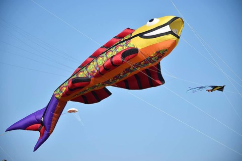 Kite festival, flying kites on Schönberg beach, Schleswig-Holstein, Germany, Europe
