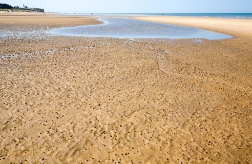 Worm casts in muddy sediment on the beach at Hunstanton, north Norfolk coast, England, United