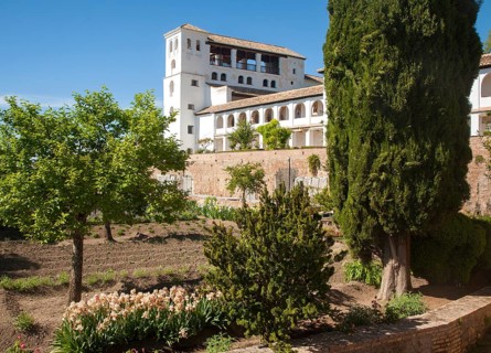 Generalife palace gardens, Alhambra, Granada, Spain, Europe