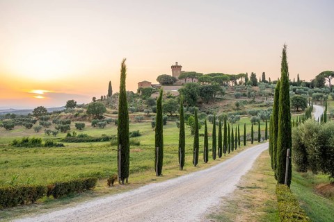 Road leading to the Palazzo massaini at sunset, Unesco world heritage site Val d´Orcia, Italy,