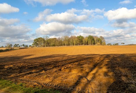 Sunny winter landscape cumulus clouds blue sky, copse of trees and ploughed field, Ramsholt,