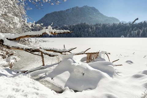 Freibergsee in winter, near Oberstdorf, behind it the Himmelschrofen, 1791m, and the Heini-Klopfer