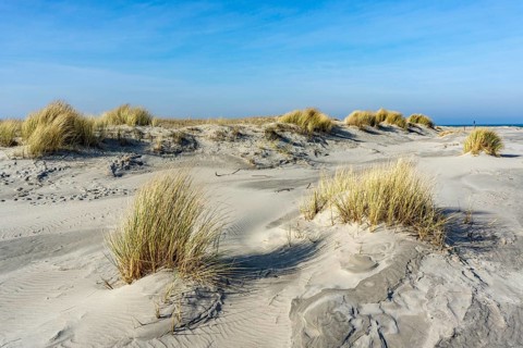 The East Frisian North Sea island of Juist in winter, dunes on the western part of the island, at