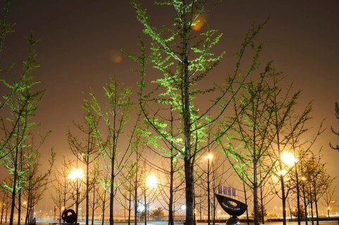 Night view of Olympic Games Complex, Beijing, China, Asia