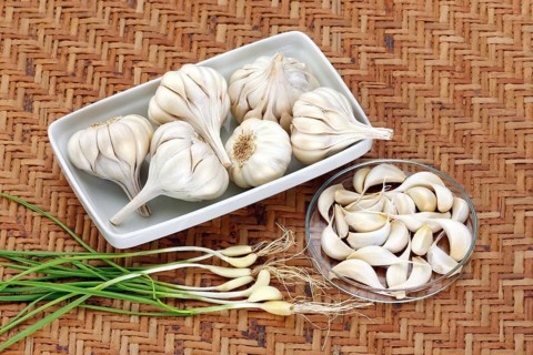 Vegetable, spices, Garlic Latin Allium Sativum, India, Asia