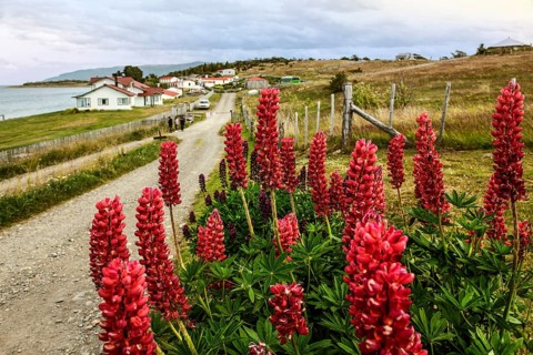 Estancia Harberton, Beagle Channel, Ushuaia, Argentina, South America