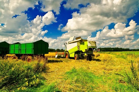Combine harvester