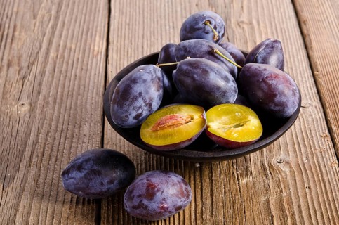 Prunus domestica