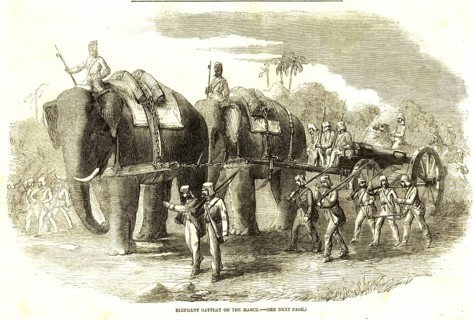 Military and munity mutiny views elephant battery on march, India, Asia