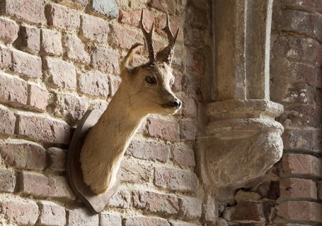 North wing of the cloister, console with depiction of a nun and roebuck